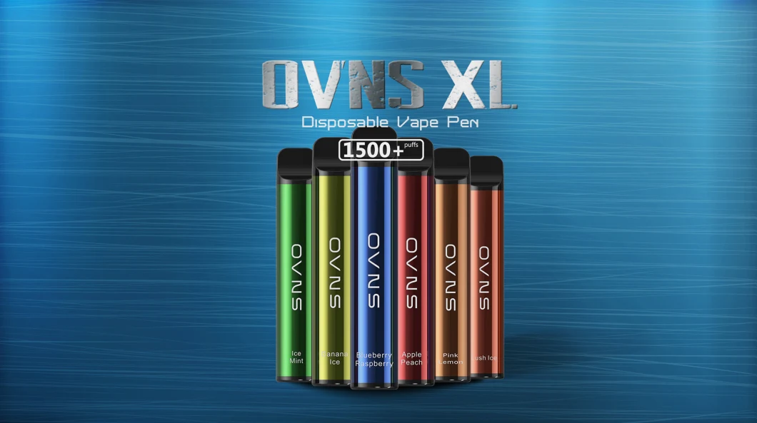 OEM/ODM Vaporizor Fruit Flavor Tastes 1500puffs 5ml Disposable Vape