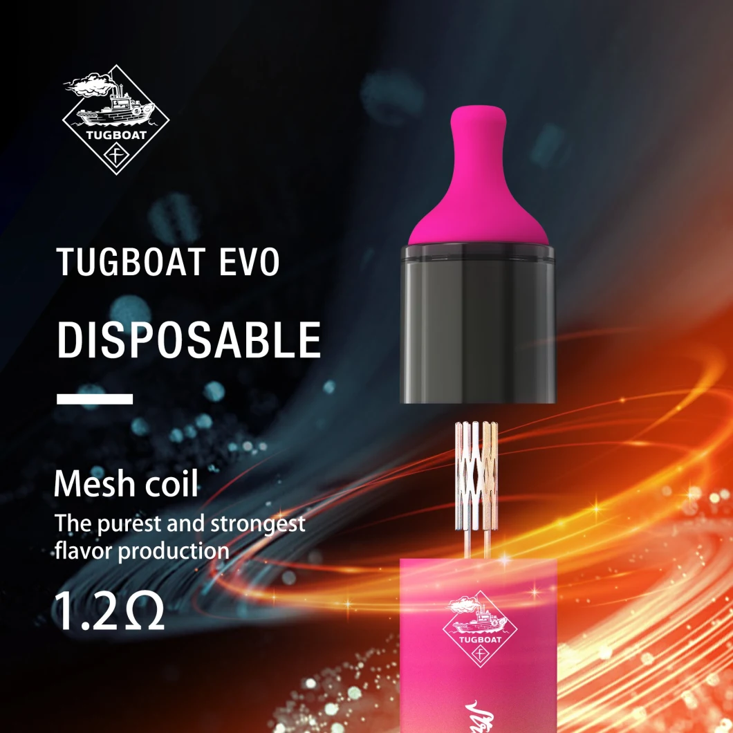 Mesh Coil Rechargeable 12ml Eliquid 600mAh Battery 5% Salt Nicotine 4500puffs Disposable Vape