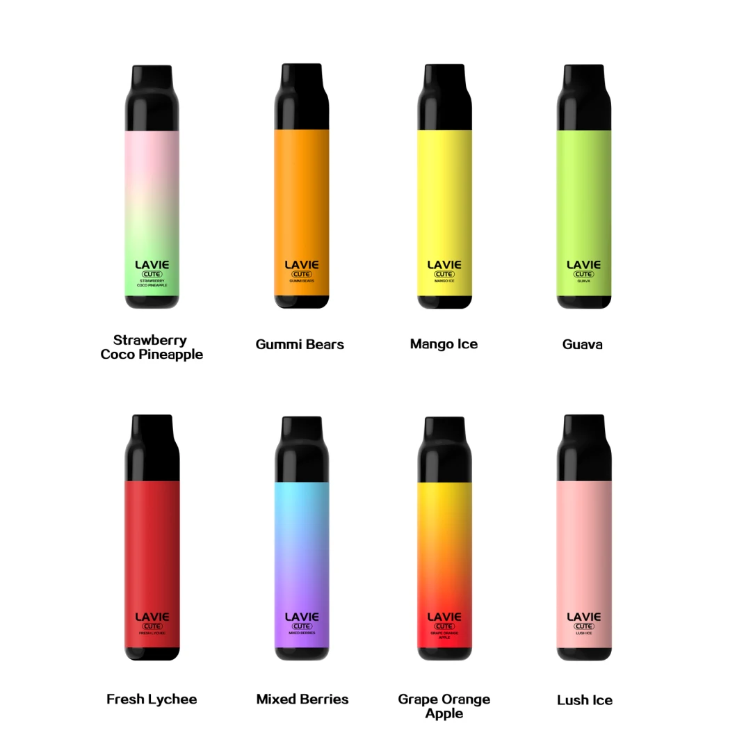 New Products OEM Vape Disposable Vape Puffs Vape Pen Vape Pods Big Puffs 3000puffs Lavie Cute Disposable Vapes