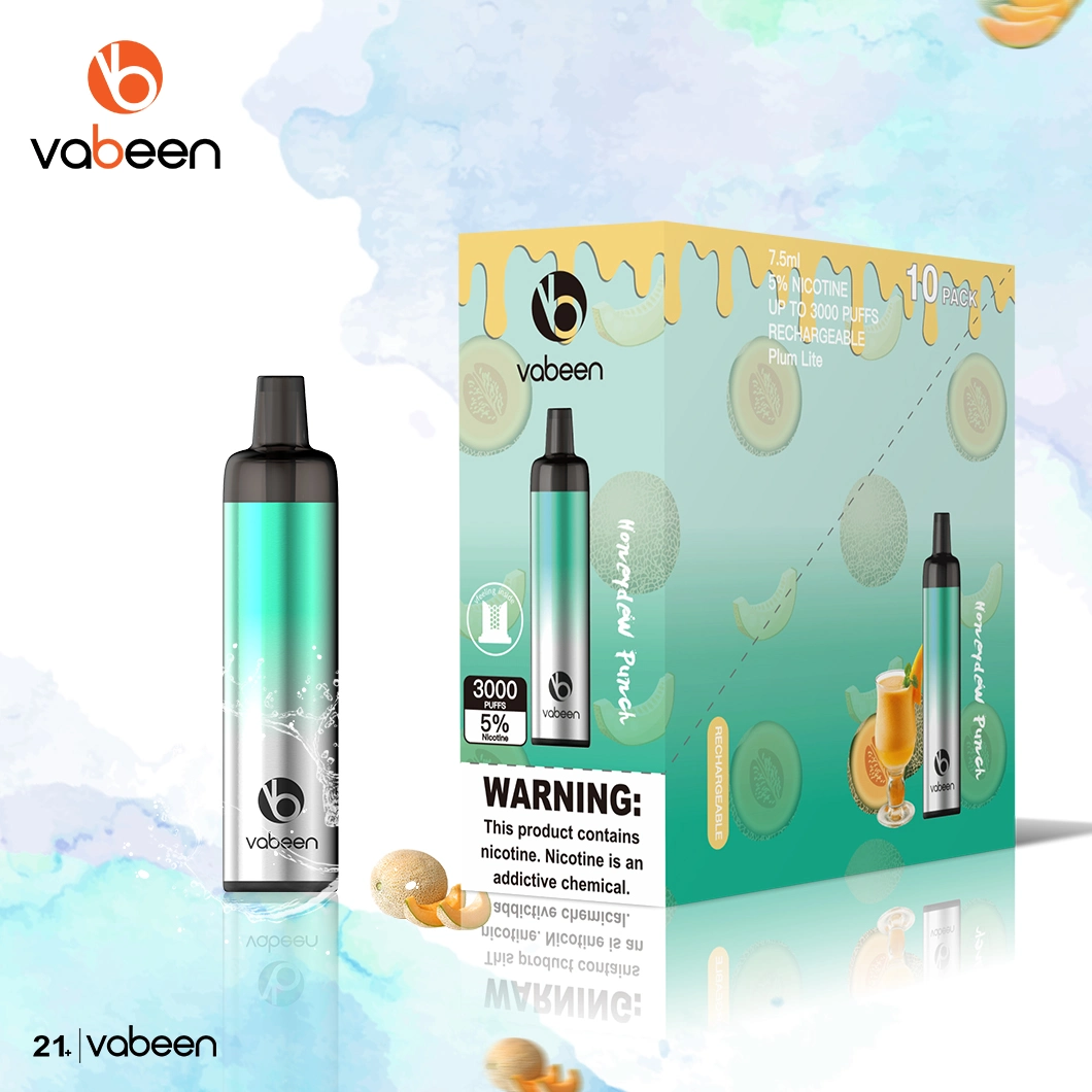 Vabeen Recharge Disposable Ecig Electronic Cigarette 3000puffs Disposable Vapes in 10 Flavors